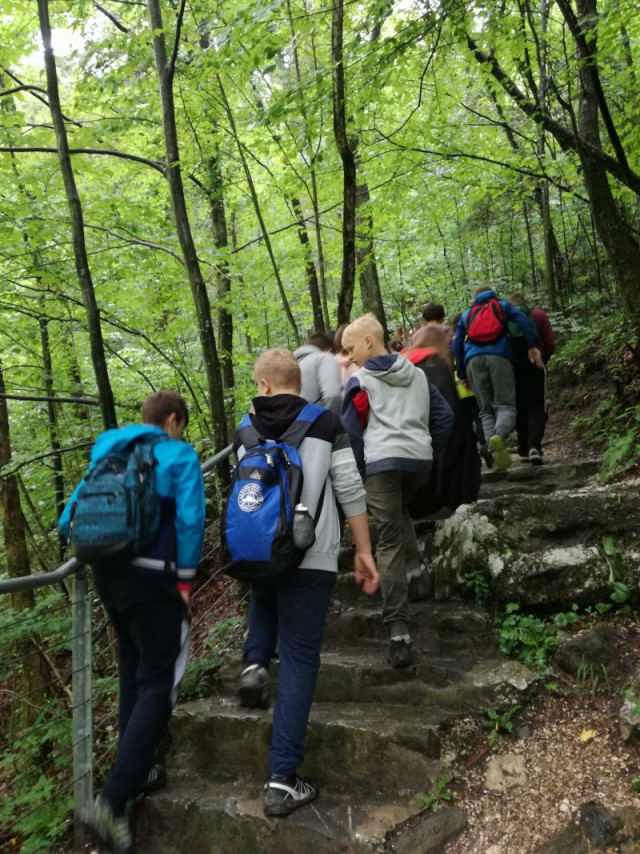 3411_IMG_20180515_095337