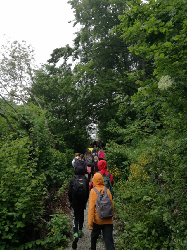 3411_IMG_20180515_111213