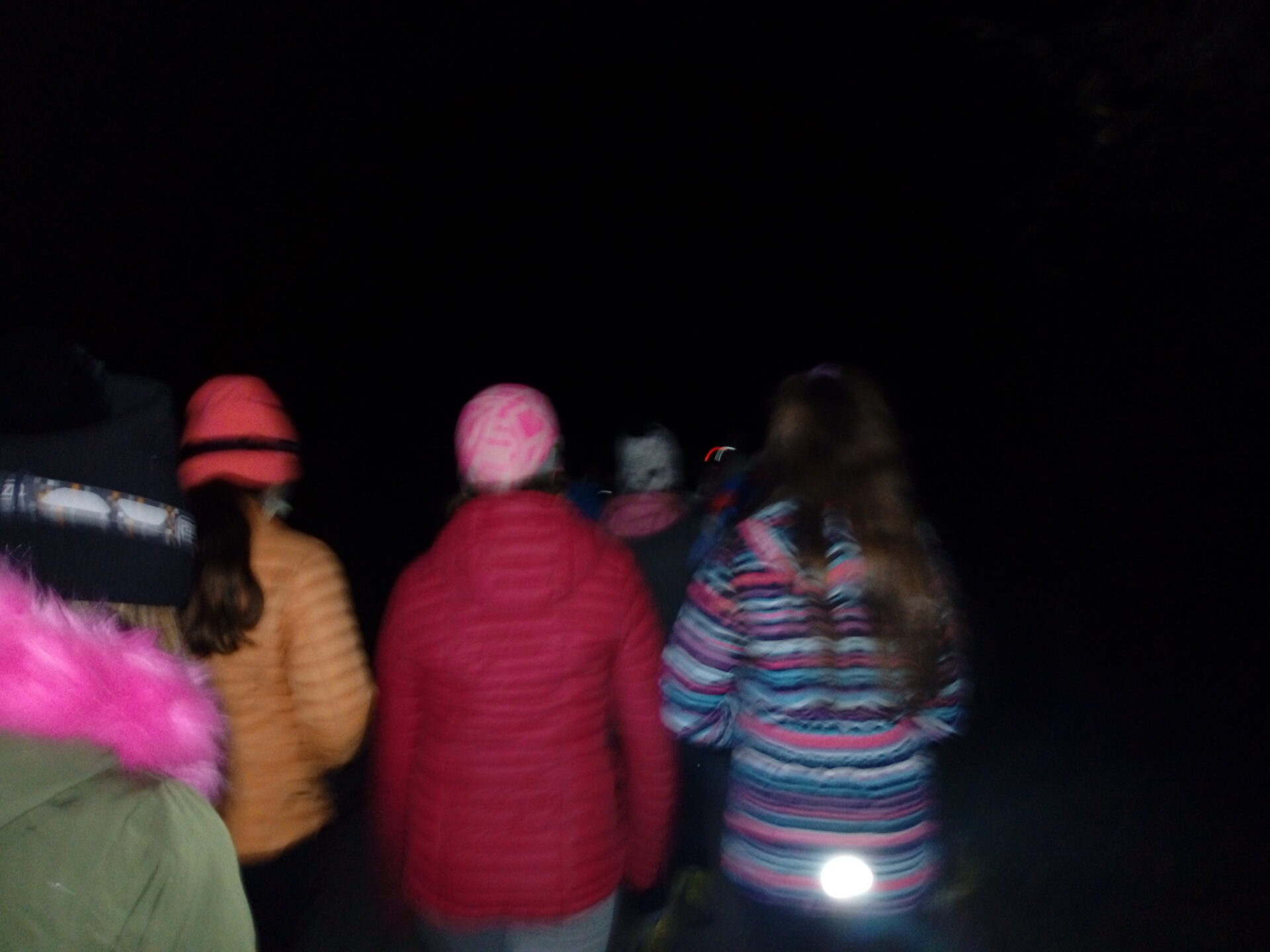 3496_IMG_20211108_200720