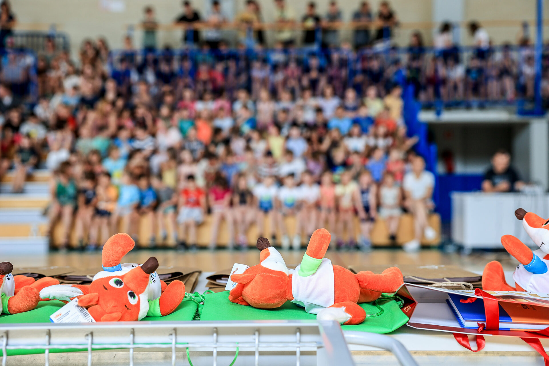 3536_Olimpijski_dan_Skofja_Loka_23_7_2023_ (2 of 33)