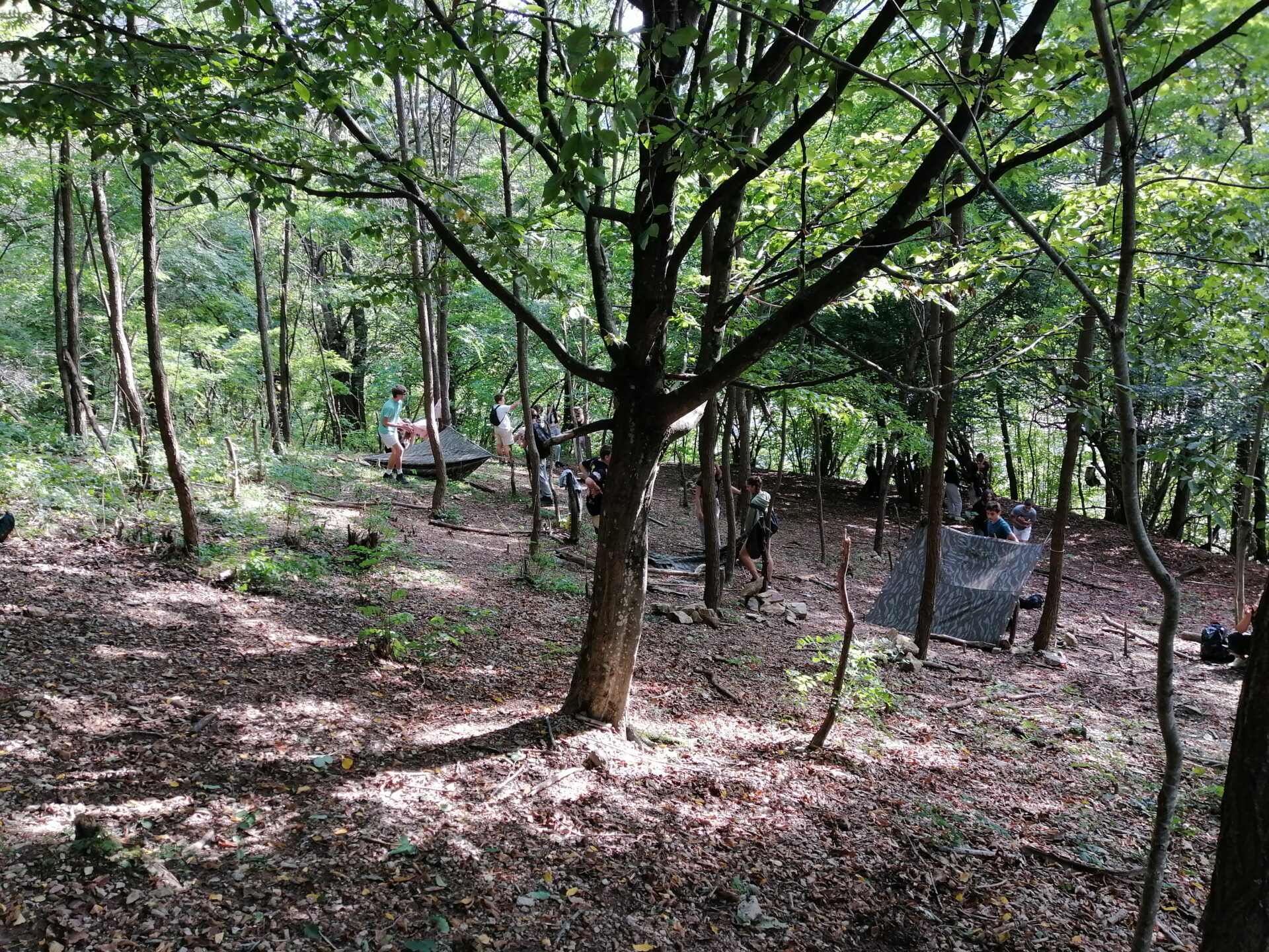 3540_IMG_20230920_100012