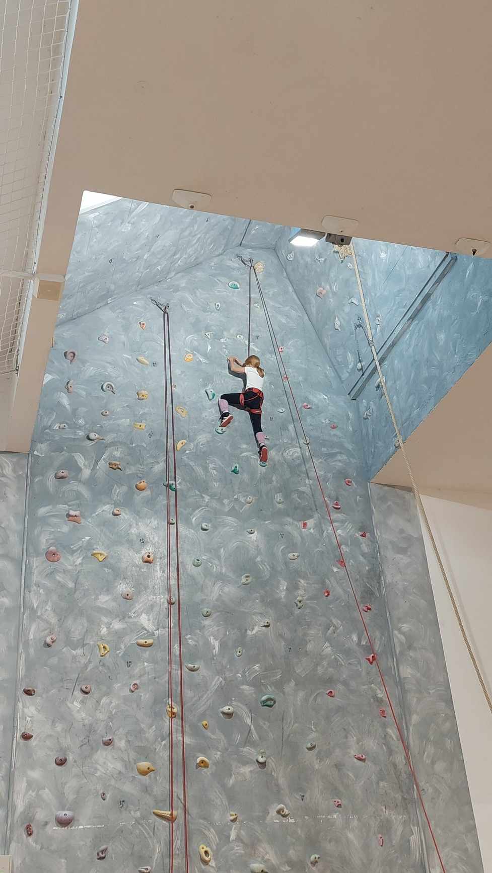 3542_received_1510068426450744