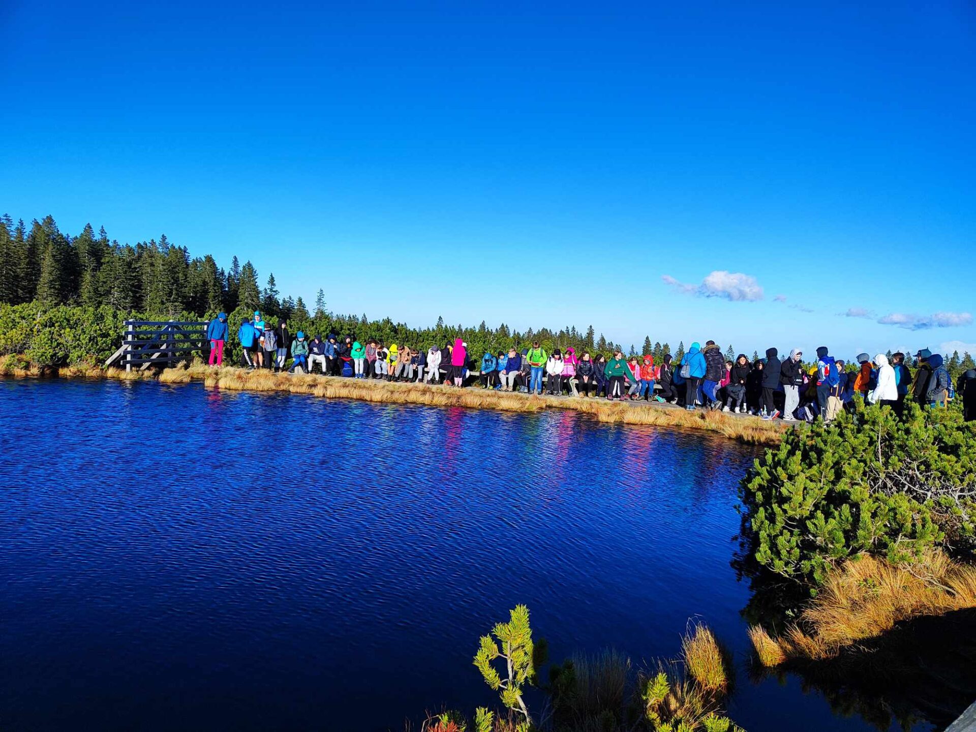 3542_received_281240914309607