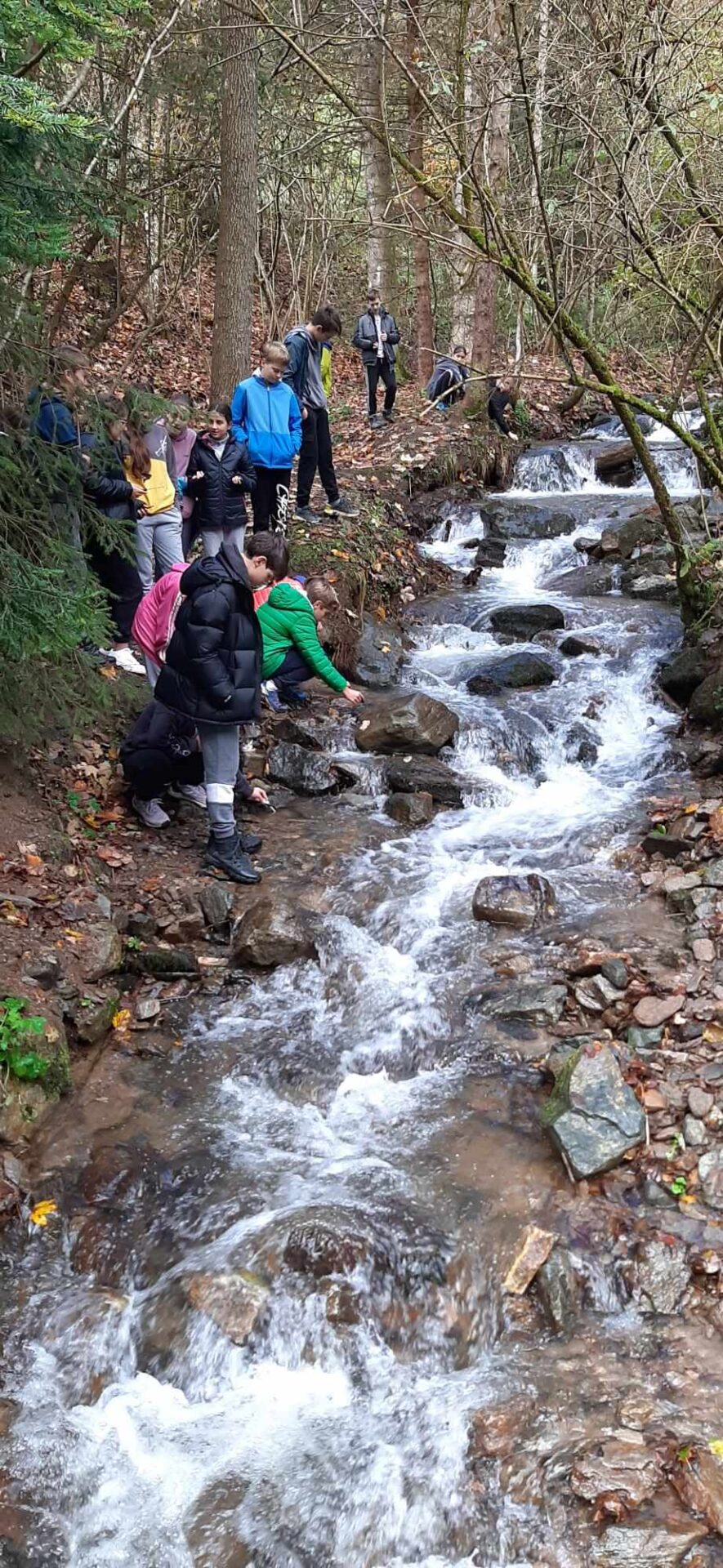 3542_received_360956483046161