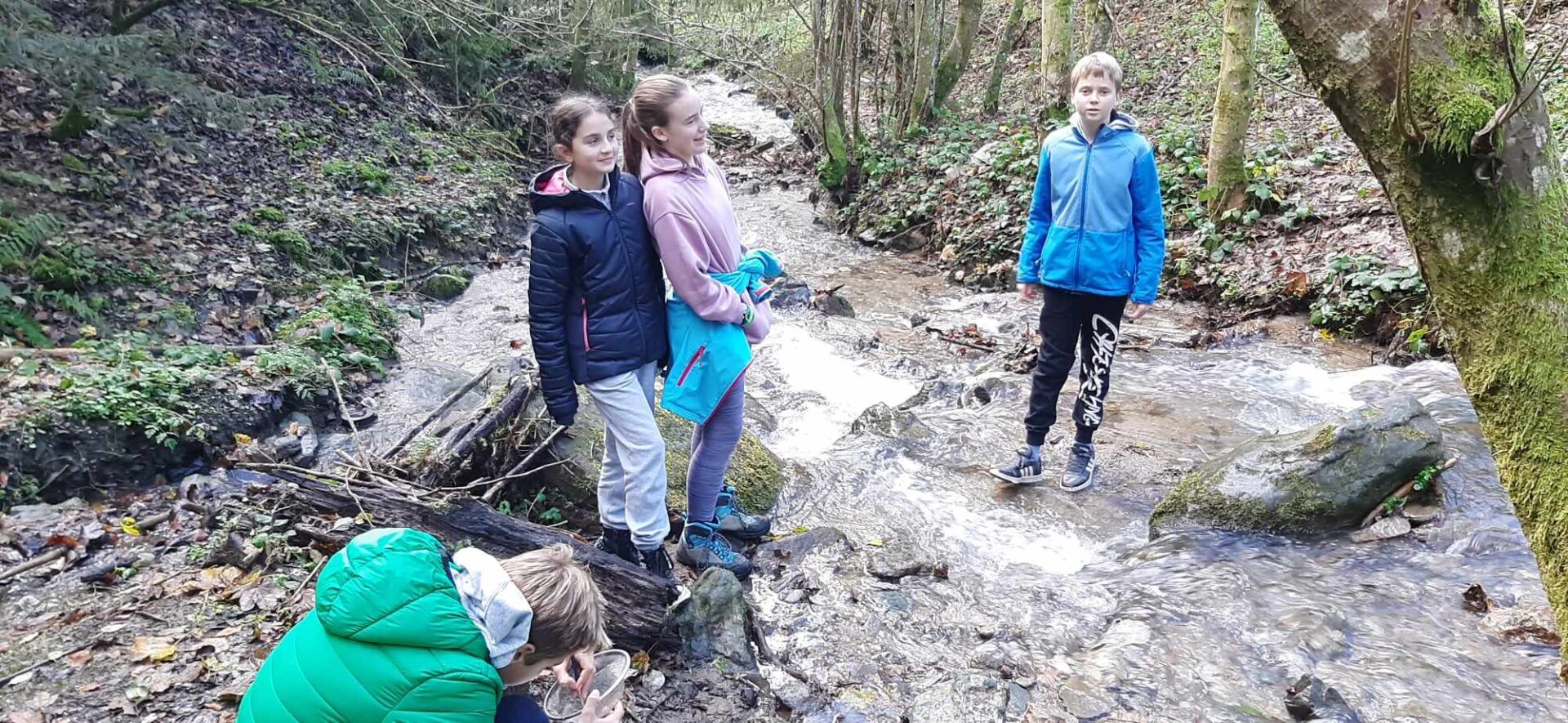 3542_received_718075940213614