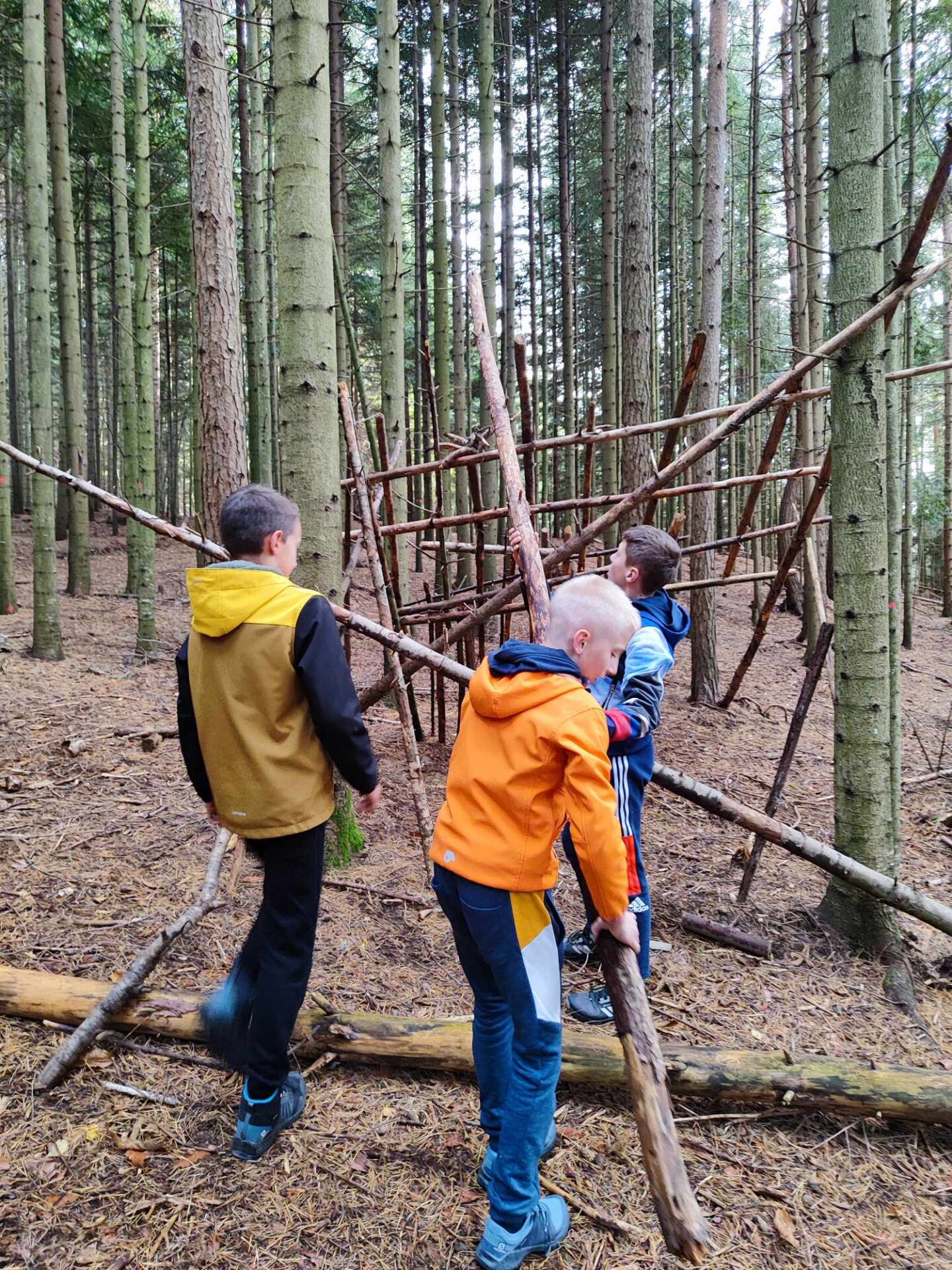 3542_received_874914554063785