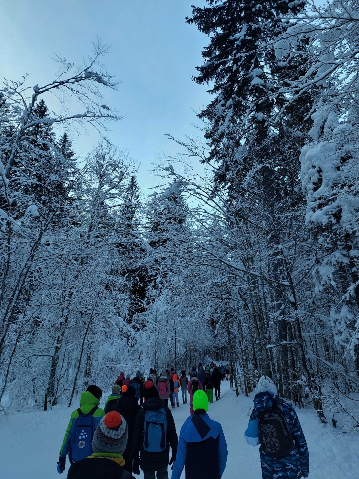 3545_20240131_102512