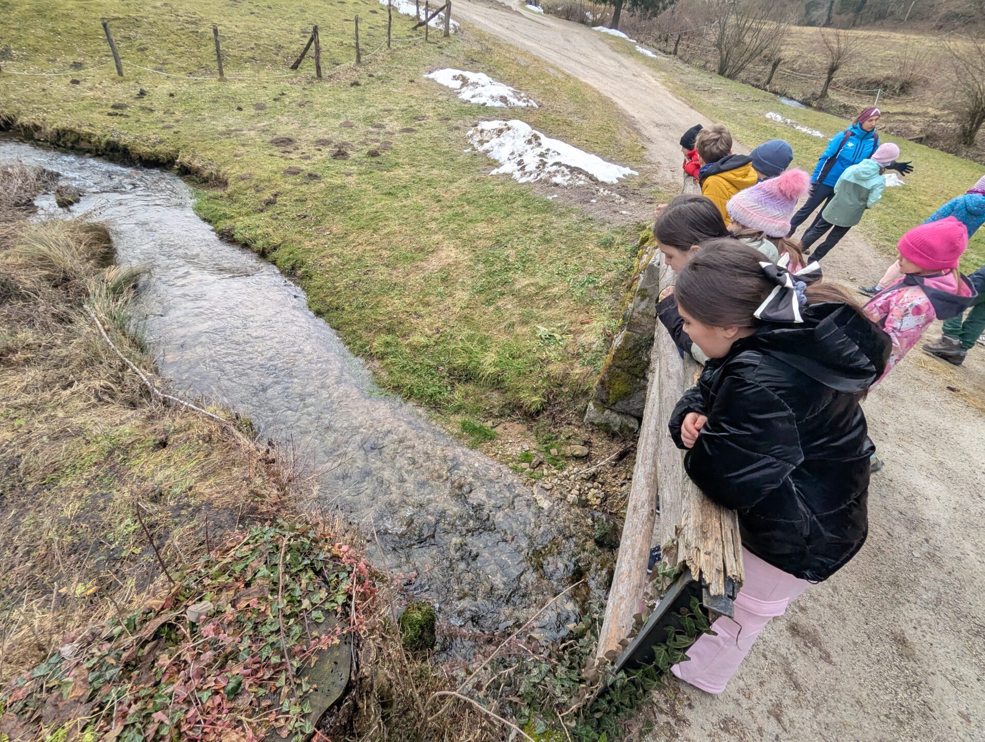 pxl_20260203_082439025-mp