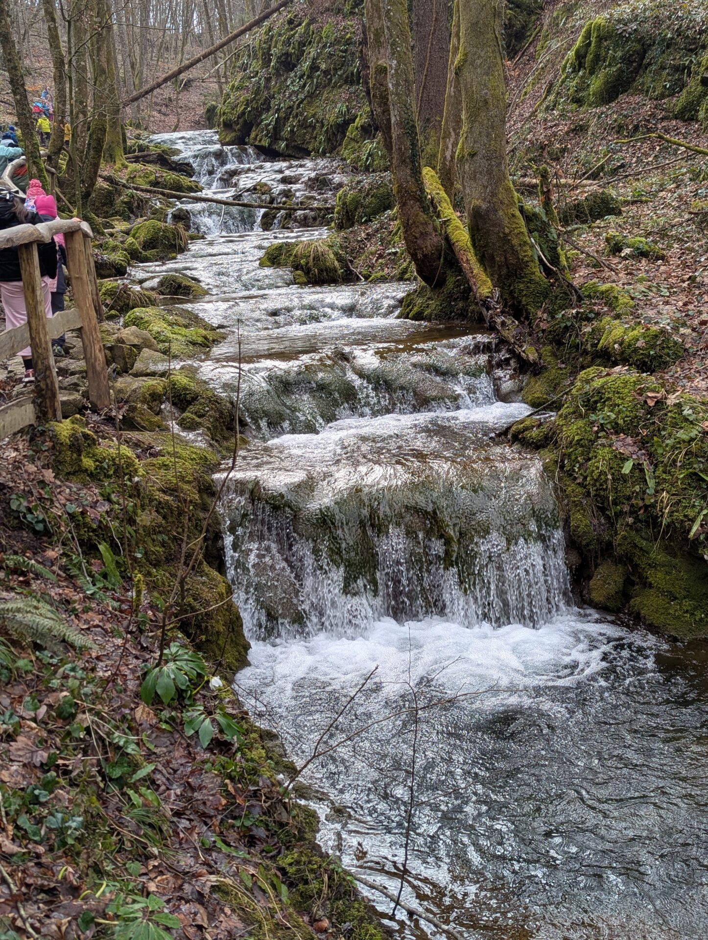 pxl_20260203_090200037