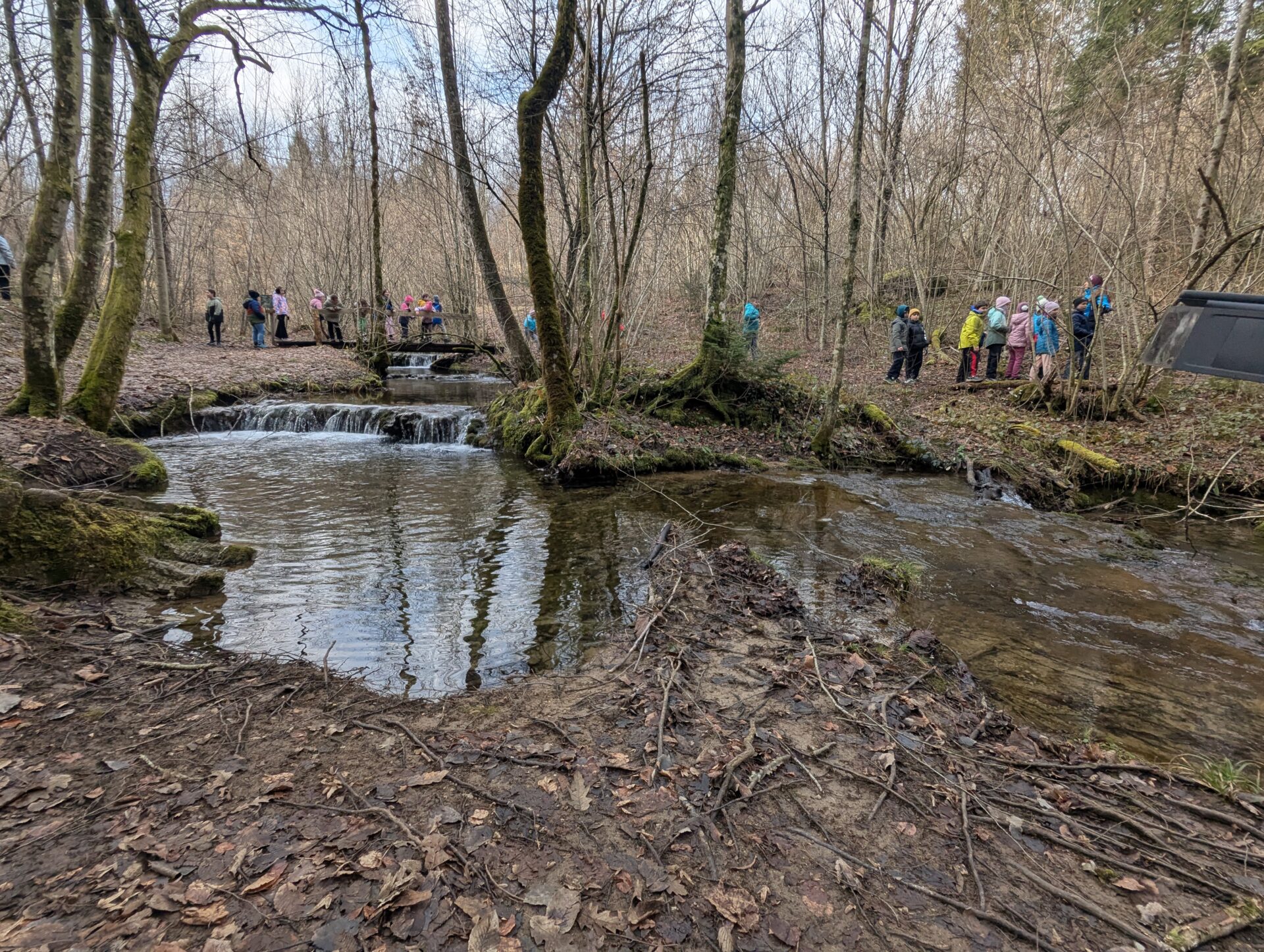 pxl_20260203_090633773