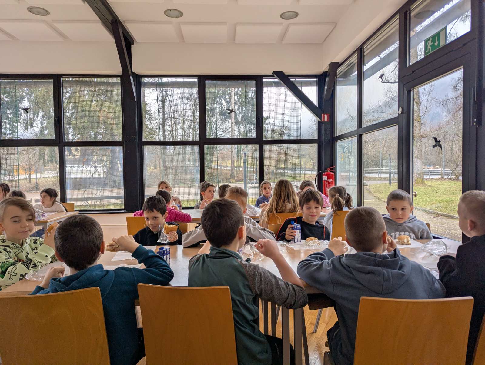 viber_image_2026-02-04_11-09-41-414