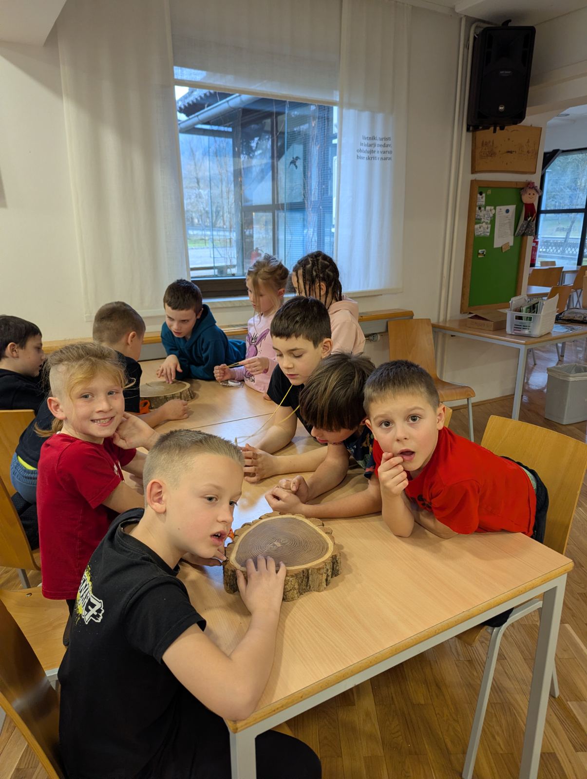 viber_image_2026-02-04_11-09-41-460