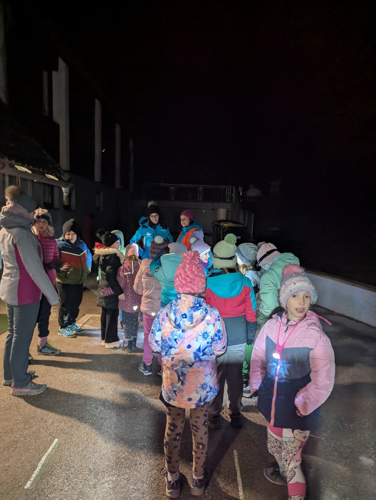 viber_image_2026-02-04_11-09-41-647