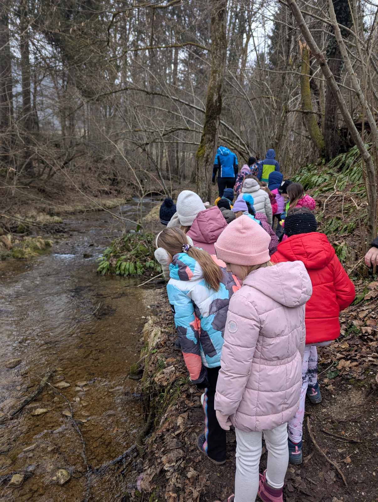 viber_image_2026-02-04_11-09-41-803