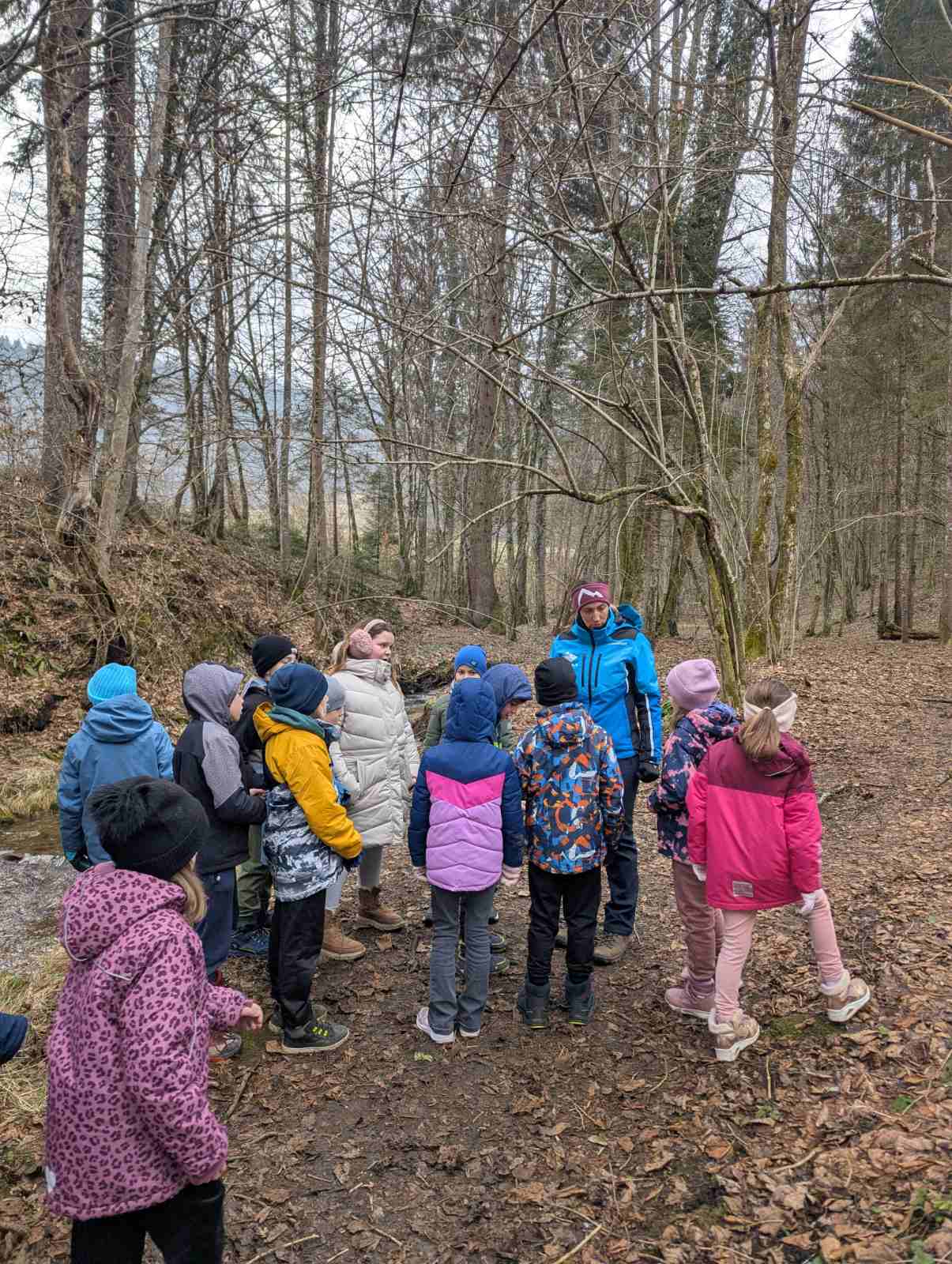 viber_image_2026-02-04_11-09-41-821