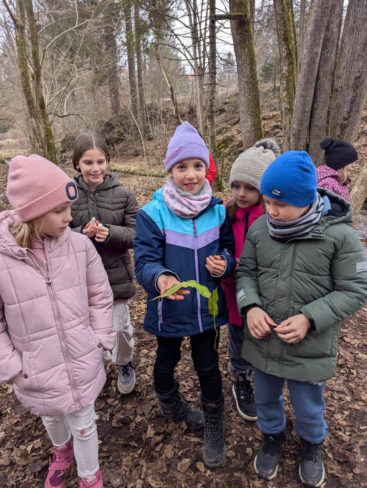 viber_image_2026-02-04_11-09-41-840