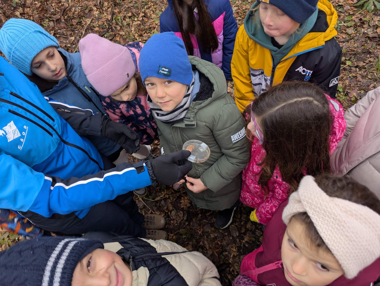 viber_image_2026-02-04_11-09-41-886